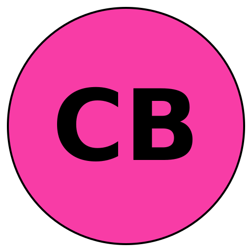 CareerBridge